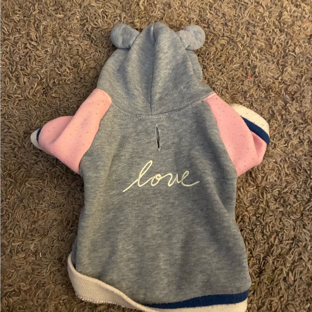 Ellen Degeneres Love Hoodie pets